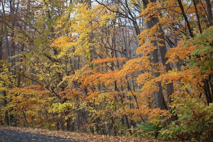b0250154_22051800.jpg
