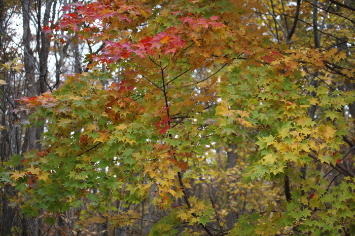 b0250154_22134426.jpg
