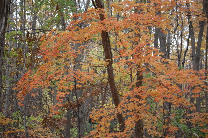 b0250154_22152250.jpg