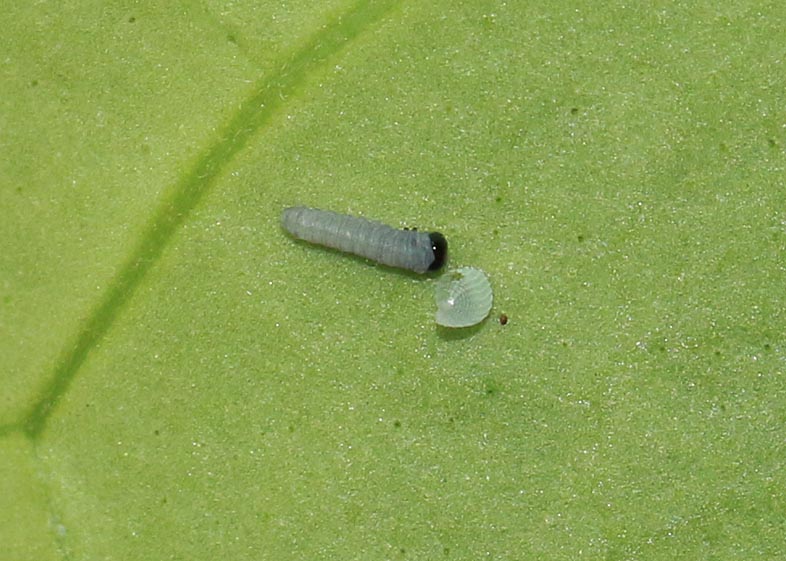 d0146854_22114155.jpg