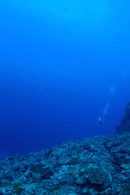 b0062363_18222223.jpg