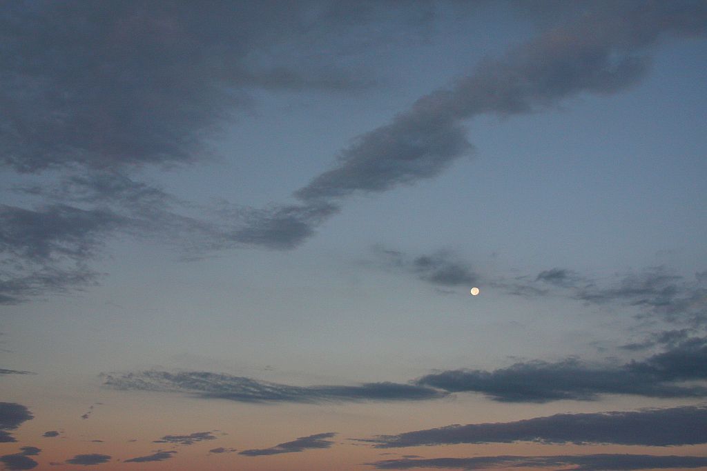 e0220163_07563442.jpg