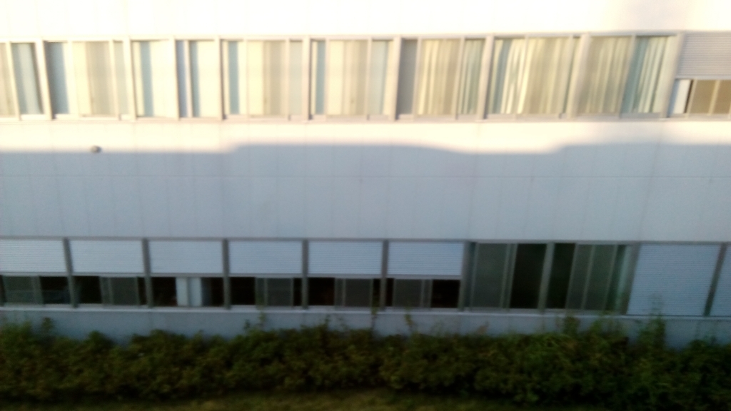 a0111166_17051819.jpg