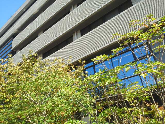 f0061067_15433669.jpg