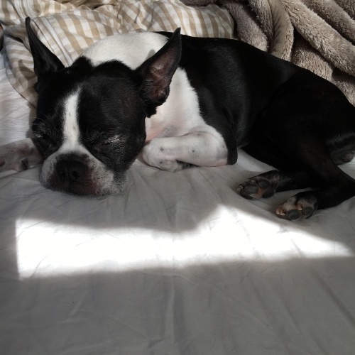 d0041575_23482830.jpeg
