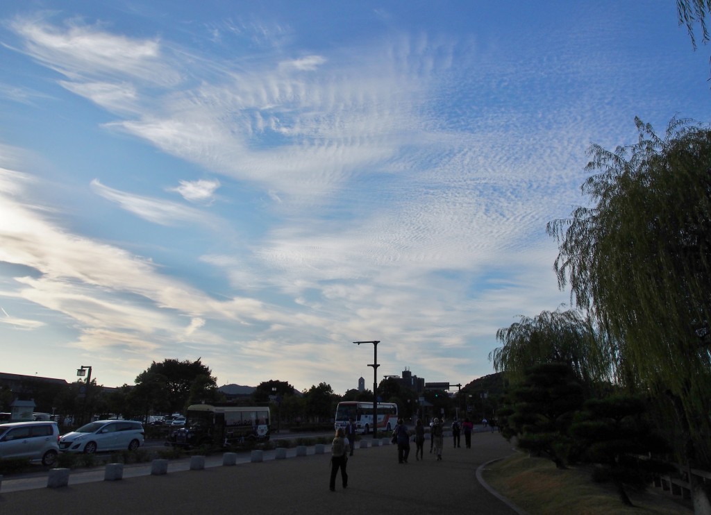 c0183777_14341120.jpg