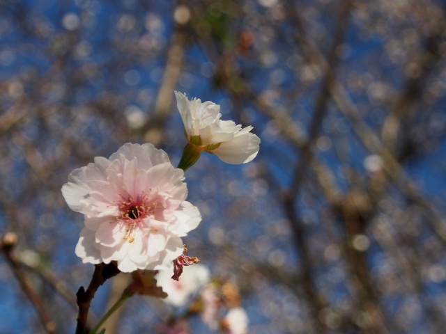 c0183777_1436925.jpg