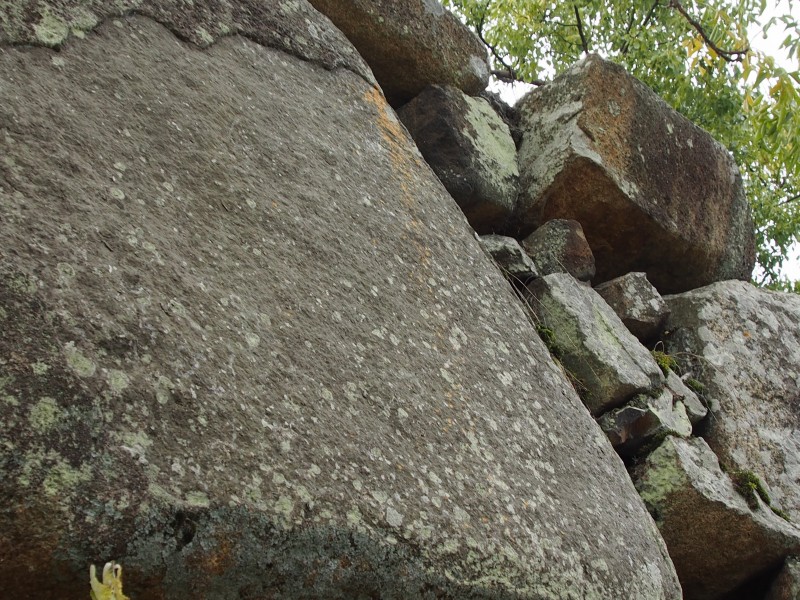 c0183777_20262537.jpg
