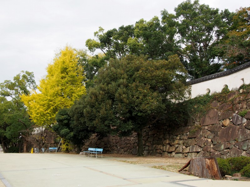 c0183777_20265641.jpg
