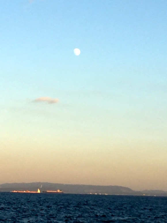 a0152078_10131460.jpg