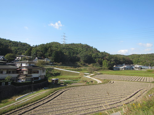 a0251786_19131432.jpg