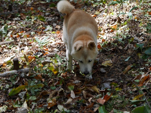 c0123890_1439130.jpg