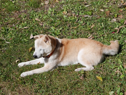 c0123890_1445277.jpg