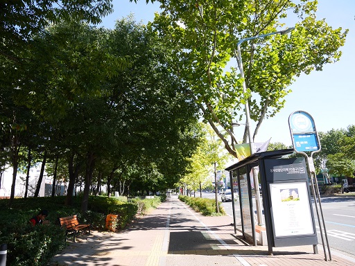 a0140305_1171419.jpg