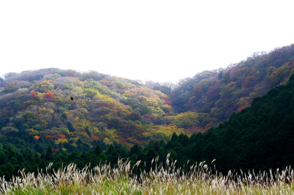 b0042527_17122639.jpg