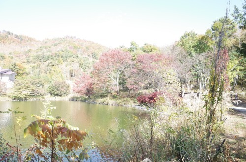 f0009031_21221001.jpg