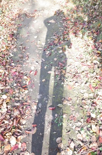 f0009031_21222271.jpg