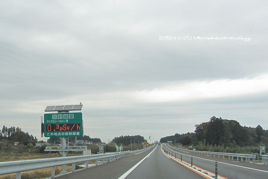 e0052135_21404090.jpg