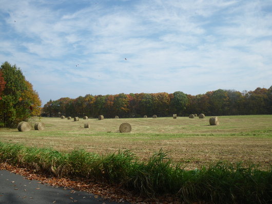 f0046250_1841163.jpg
