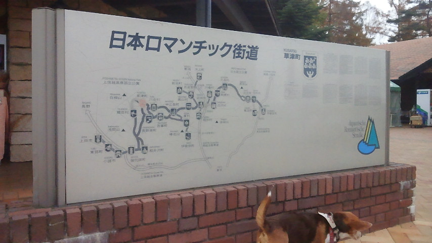 f0046250_185332.jpg