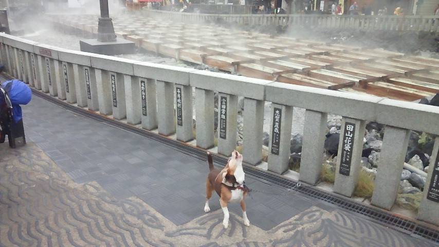 f0046250_18984.jpg