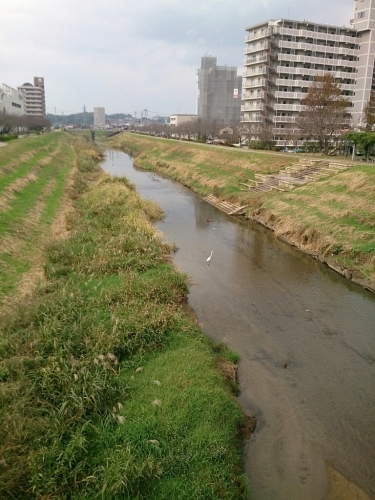 a0164657_19130329.jpg