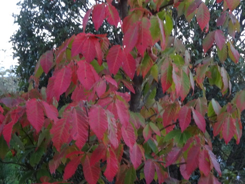 f0231573_18114440.jpg