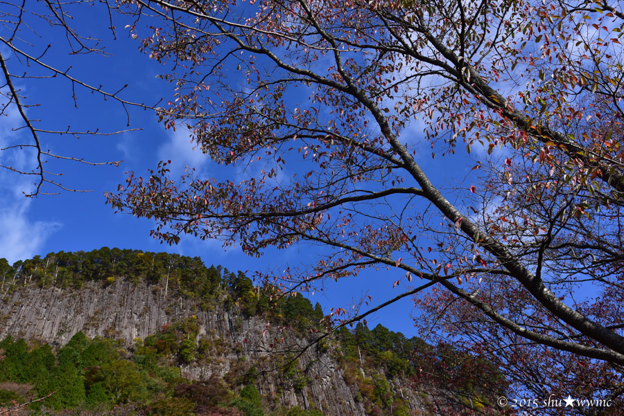 a0142976_17551175.jpg