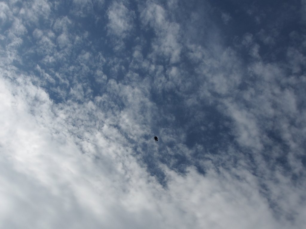 c0183777_20571184.jpg