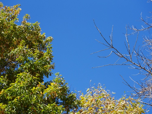 c0123890_16104952.jpg