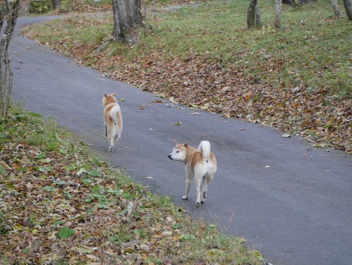 c0123890_1613470.jpg