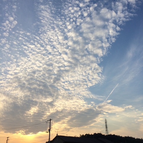 a0326292_1510529.jpg