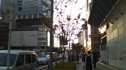 b0205694_928954.jpg