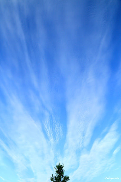 f0185802_21414930.jpg