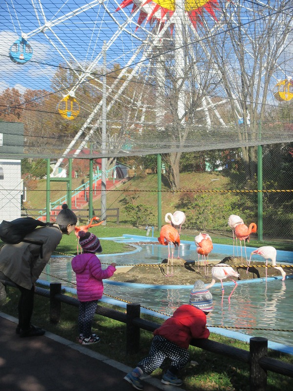 f0202703_22213277.jpg
