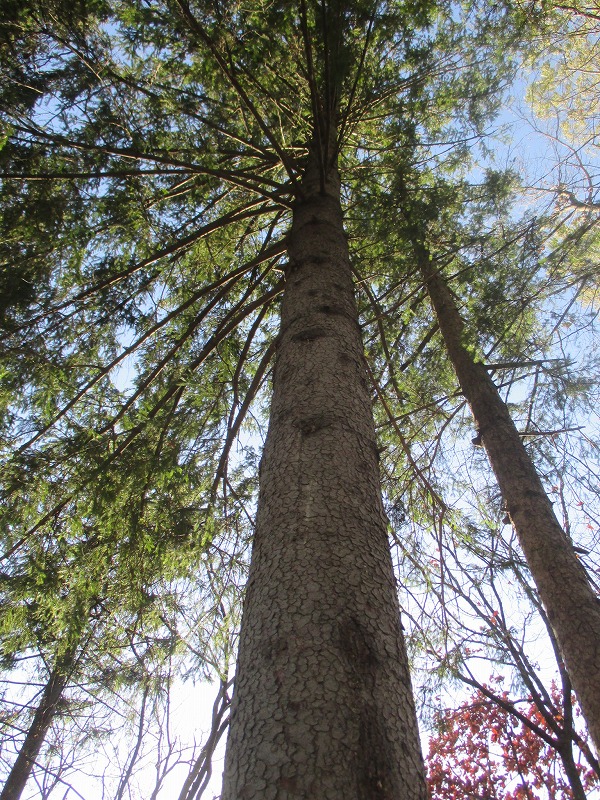 f0202703_22274710.jpg