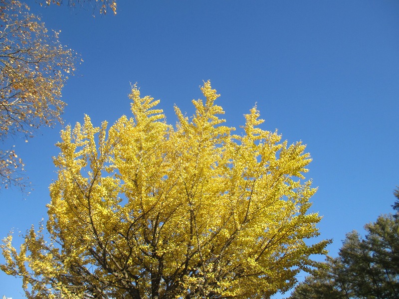 f0202703_2227499.jpg