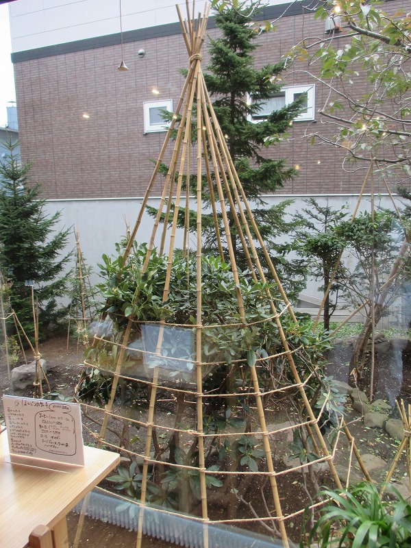 f0202703_2283359.jpg