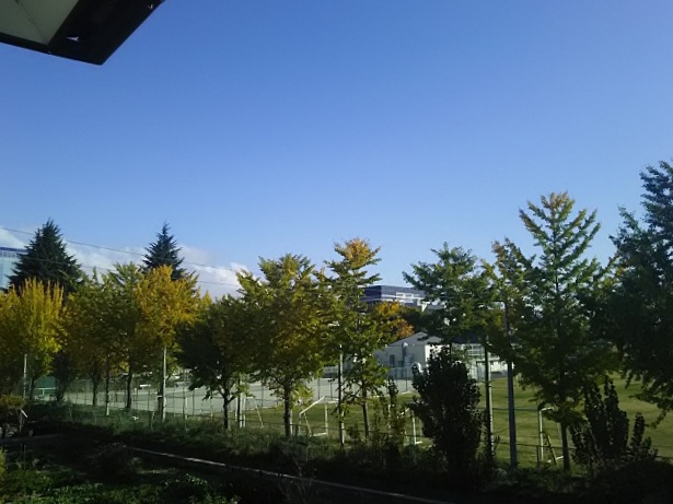 e0347508_1202482.jpg