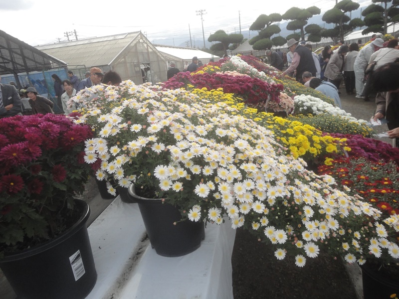 f0231709_1559481.jpg