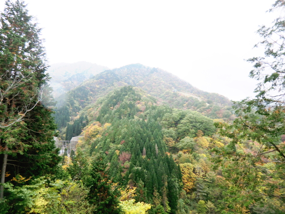 d0170615_190821.jpg