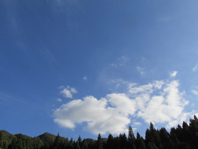 f0341616_17363114.jpg