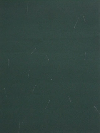 a0219423_19403857.jpg