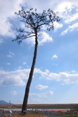 e0133025_18121922.jpg