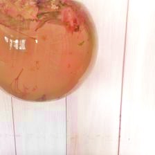 e0189225_18331941.jpg