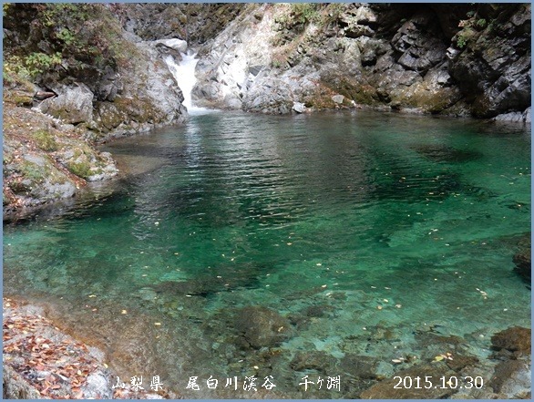 e0033229_21174930.jpg