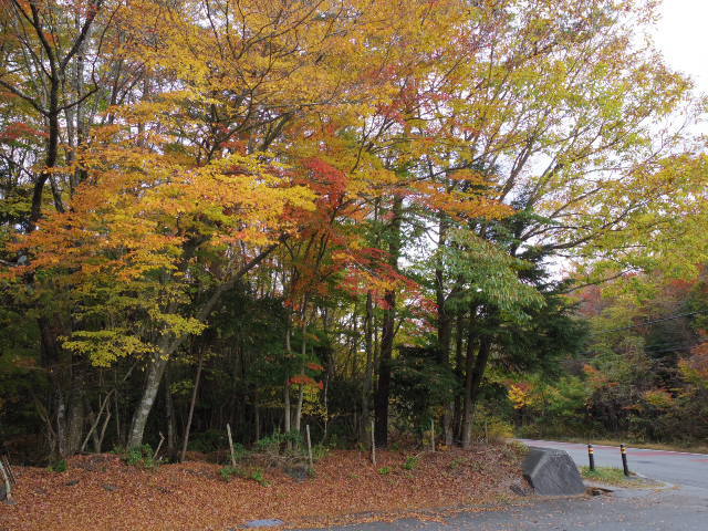 f0300637_22560874.jpg