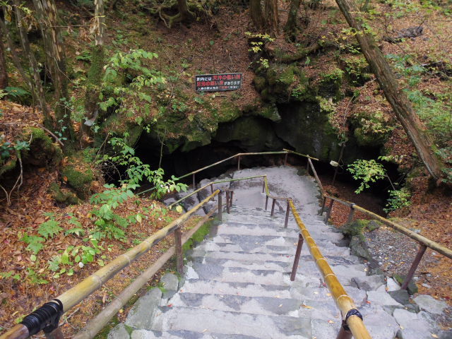 f0300637_22571239.jpg