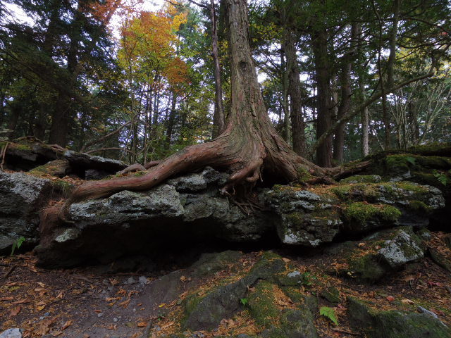f0300637_23022662.jpg