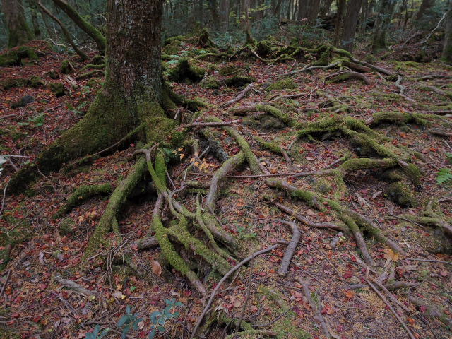f0300637_23024897.jpg
